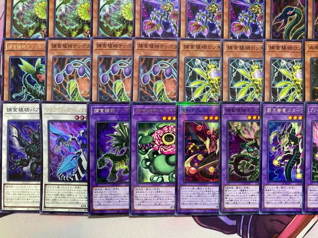 002　遊戯王　烙印捕食植物　プレデタープランツ　本格構築済みデッキ　ドラセレア 1枚