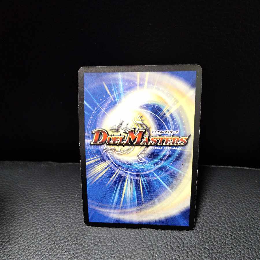 白騎士の聖霊王 HEAVEN SR S1/S5/Y8 1枚