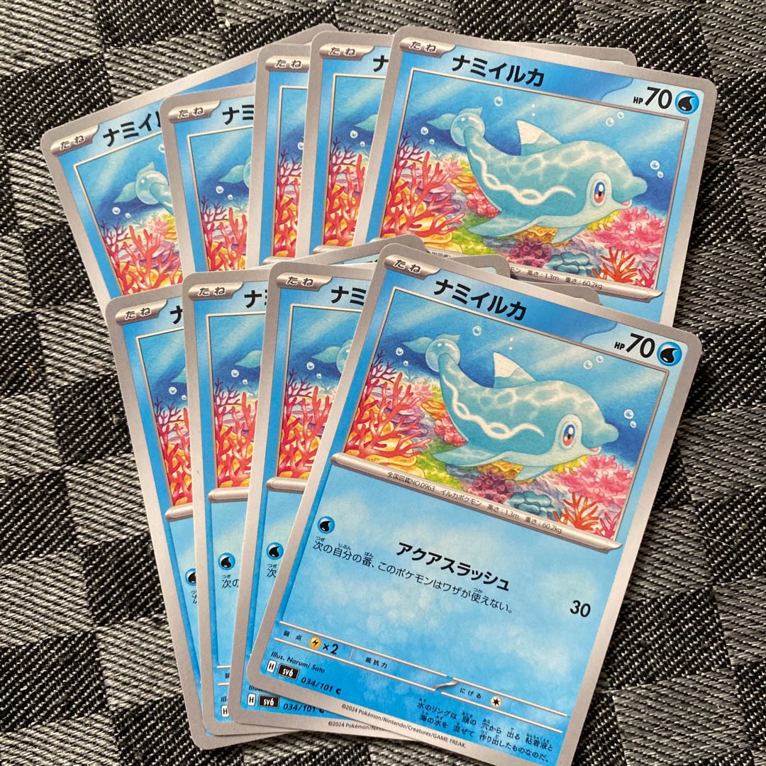 Namibian dolphin C 034/101