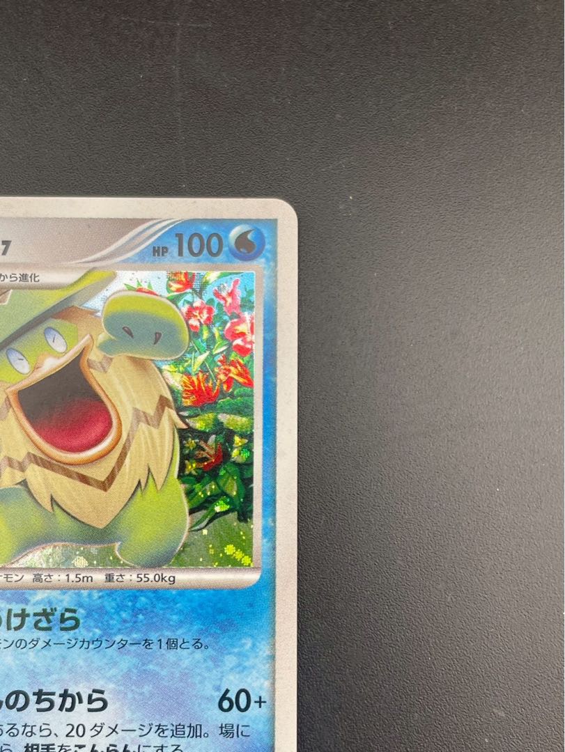 【中古品】 ルンパッパ　LV.47 DPBP#322  DP3 DPシリーズ　拡張パック ひかる闇　ポケモンカード 1枚