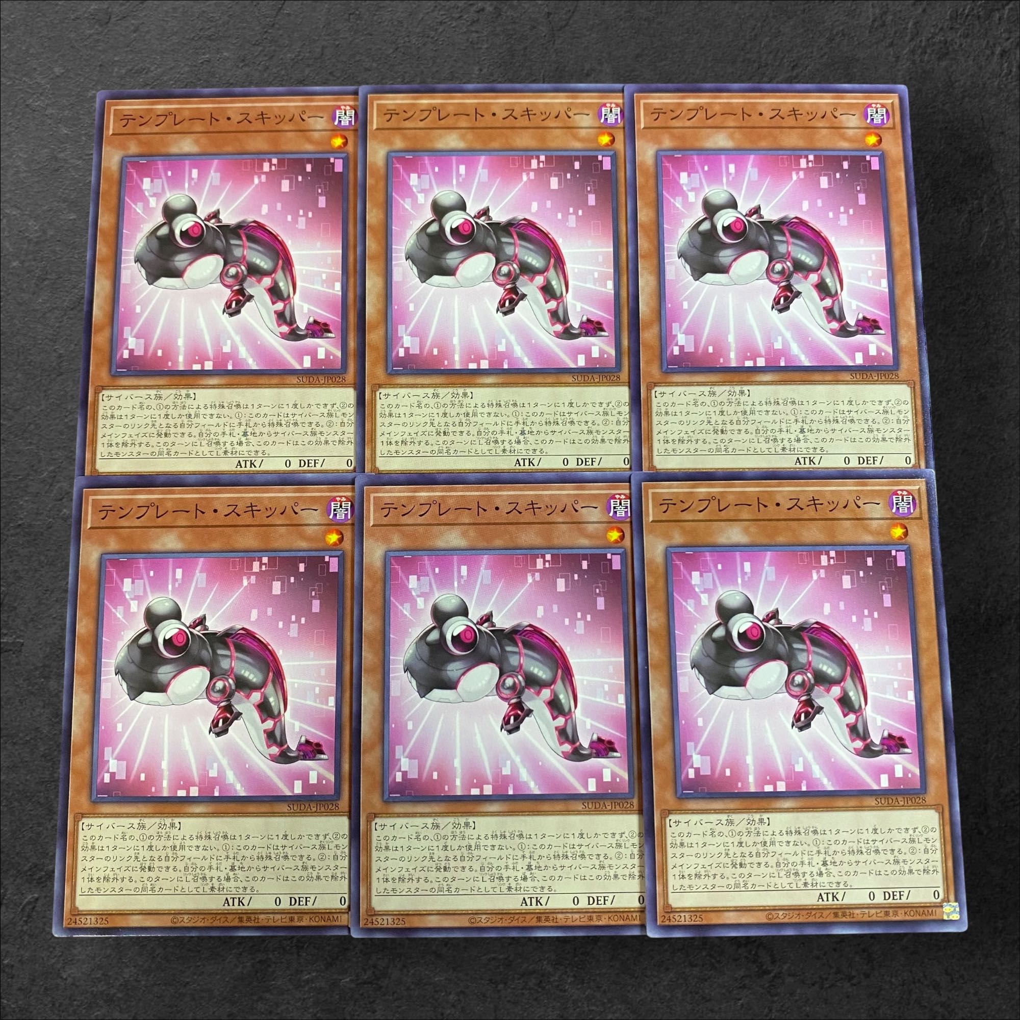 9835 [King of Games] Template Skipper, set of 6