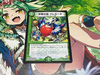 D-110 Faces of courtship Fregata U 38/74 1枚