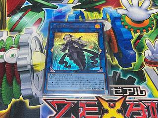Y-1P Shadow without light A=Bao a Koo Ultra Rare SUDA-JP049