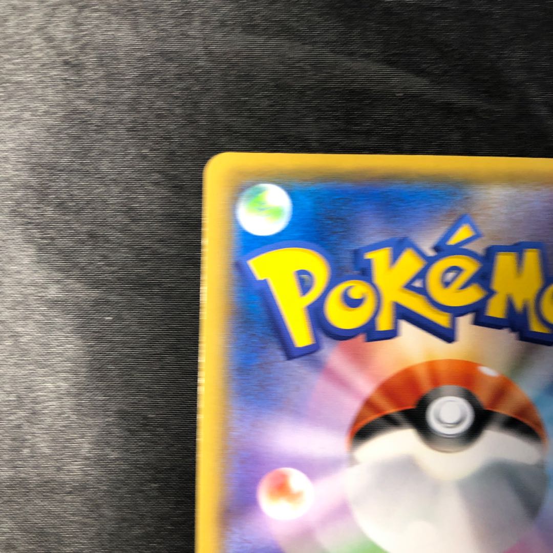 ミブリム S 253/190 1枚