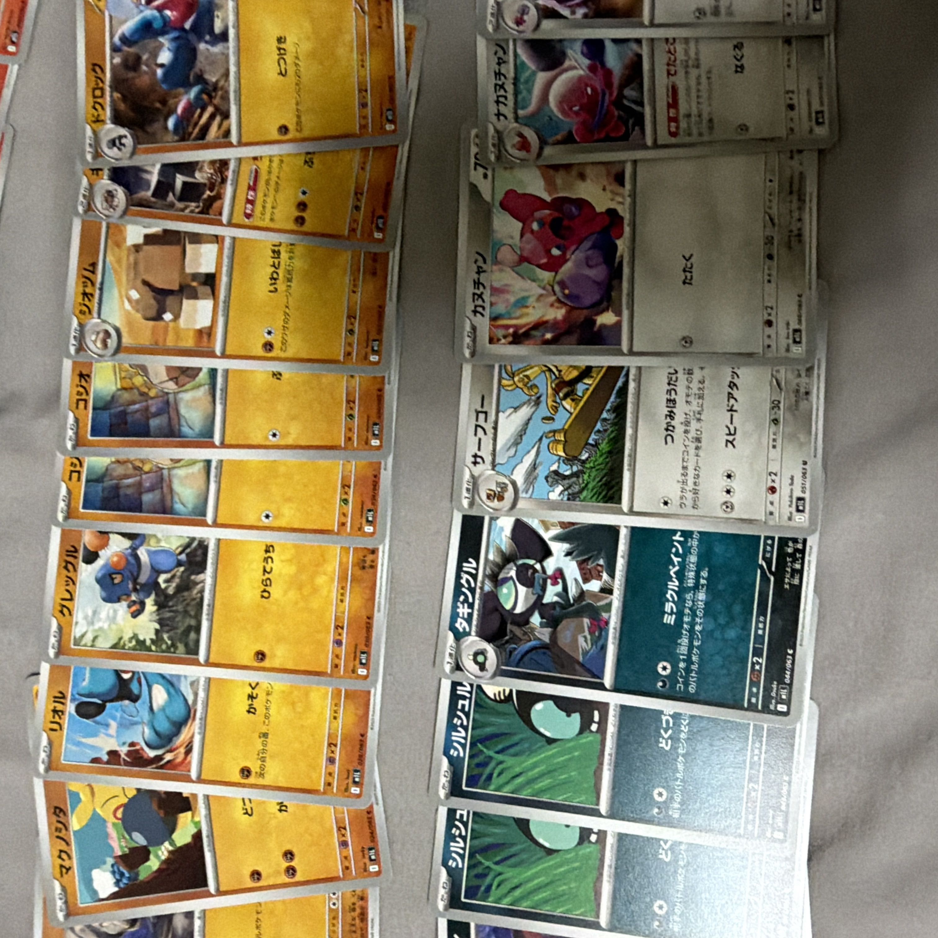 m1L  1枚
