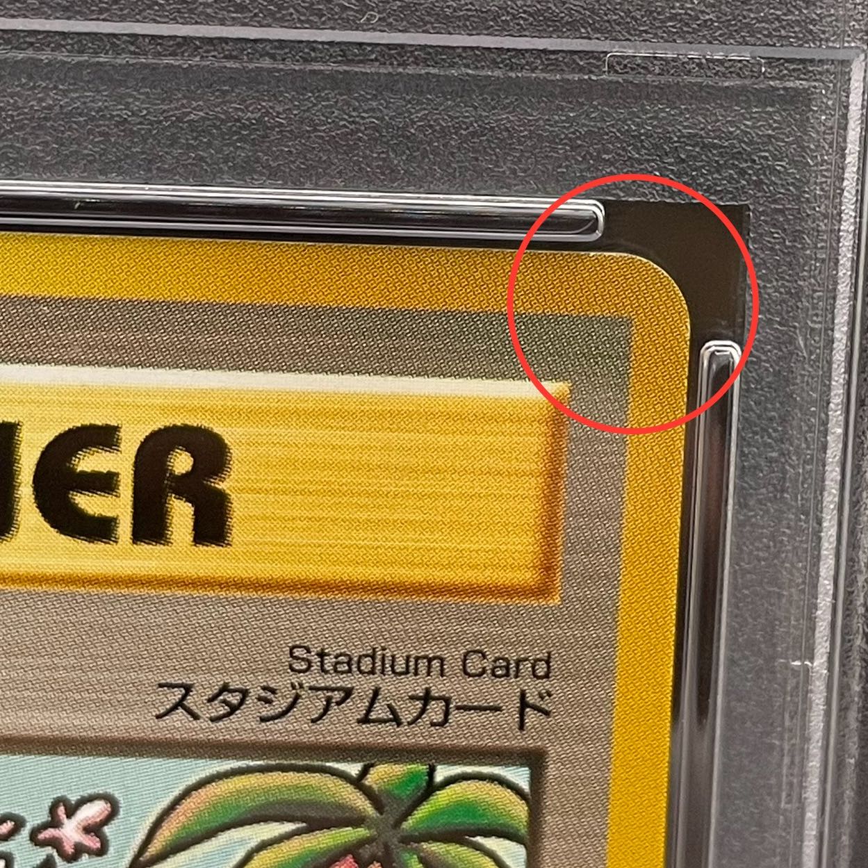 【PSA6】Lucky Stadium ラッキースタジアム 「トロピカルメガバトル in ハワイ」 参加記念カード PROMO