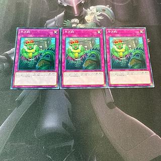 Waking the Dragon Normal A-857