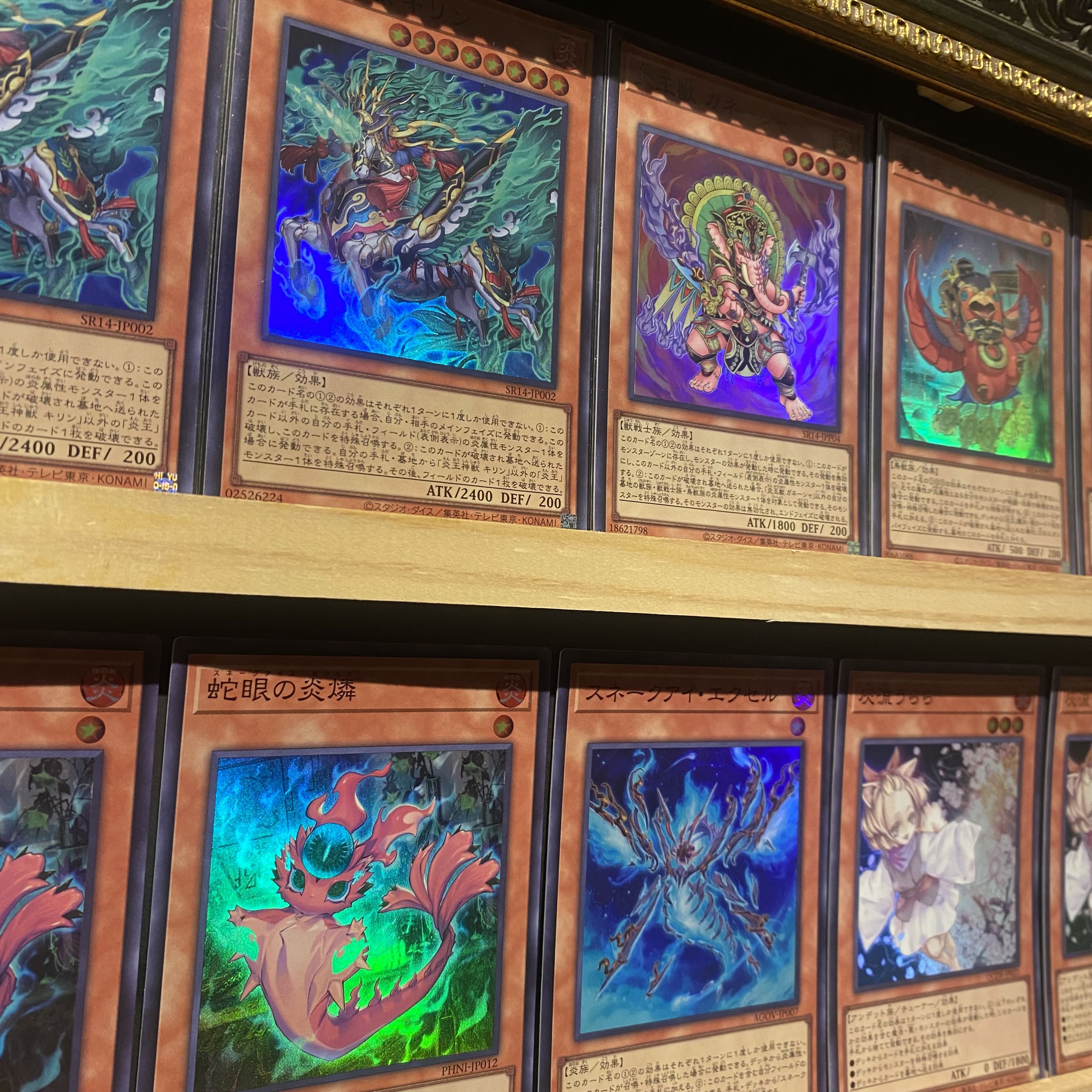 即日発送!大会用【炎王スネークアイ】デッキ 遊戯王 賜炎の咎姫 即日発送!大会用【炎王スネークアイ】デッキ 遊戯王 賜炎の咎姫