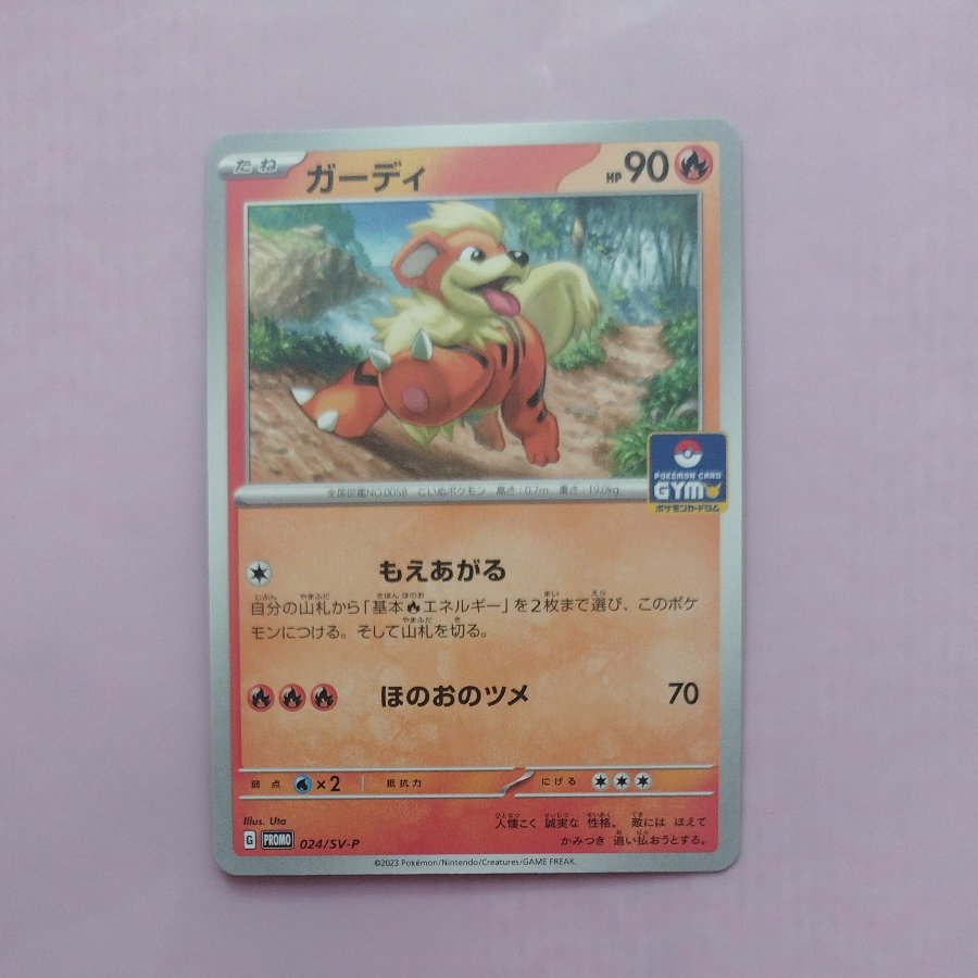 @13 @13 Growlithe Promo Card Pack, Series 1 PROMO 024/SV-P 1枚