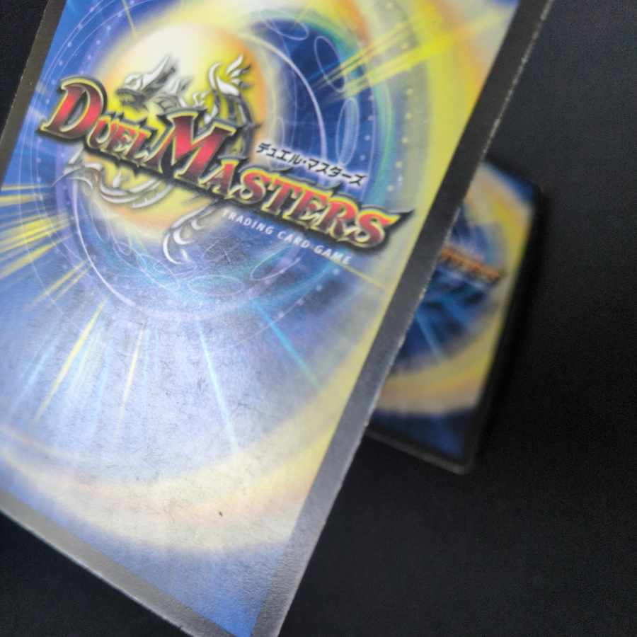 Ryugokujin Geki VR 3/110/Y6 2枚