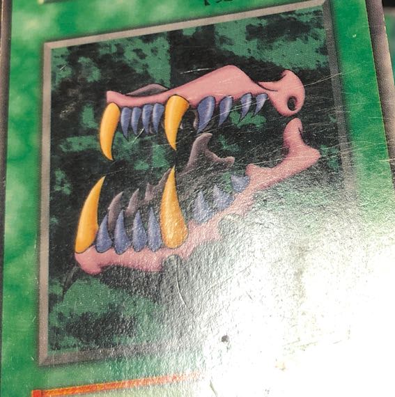 Yu-Gi-Oh Magic Cards Early Summary 1枚