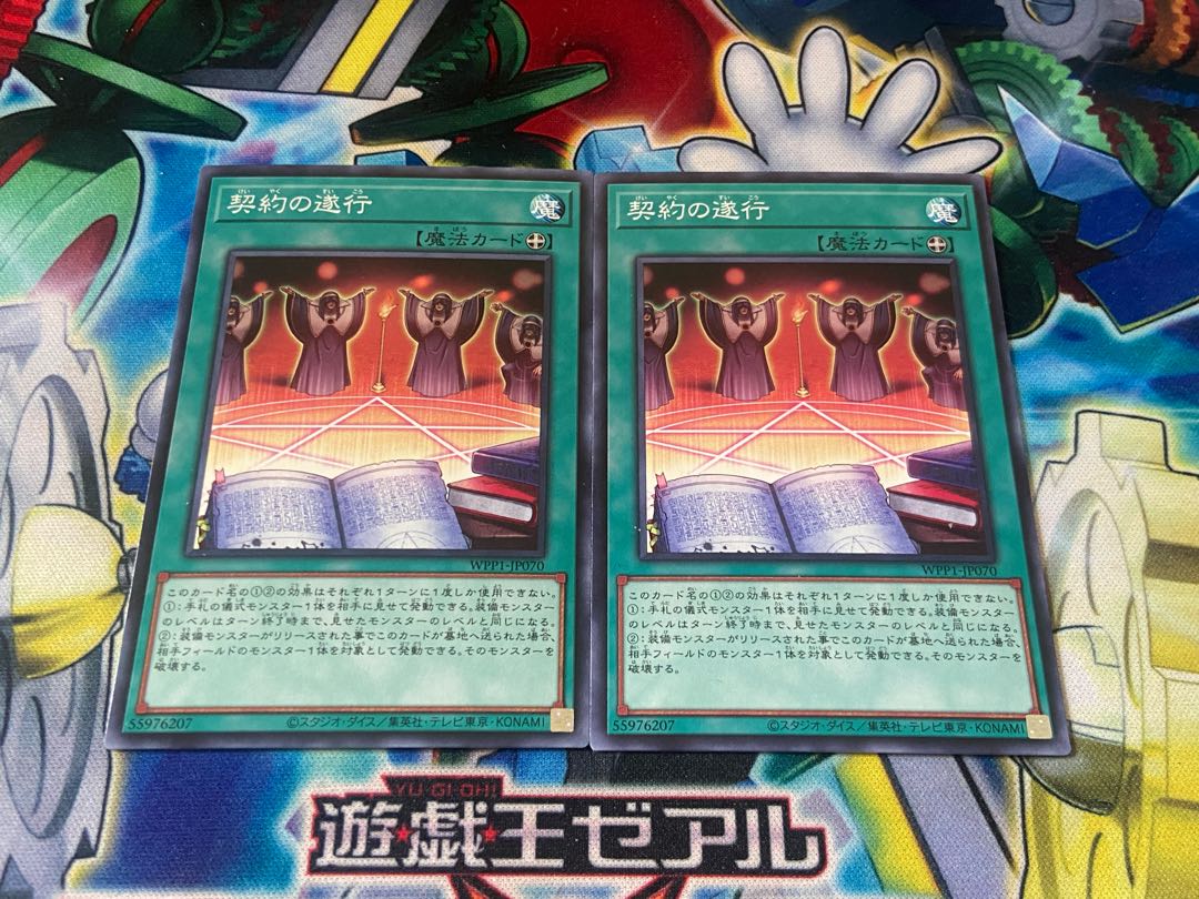 Y-1981 Execution of the Contract Normal JP070