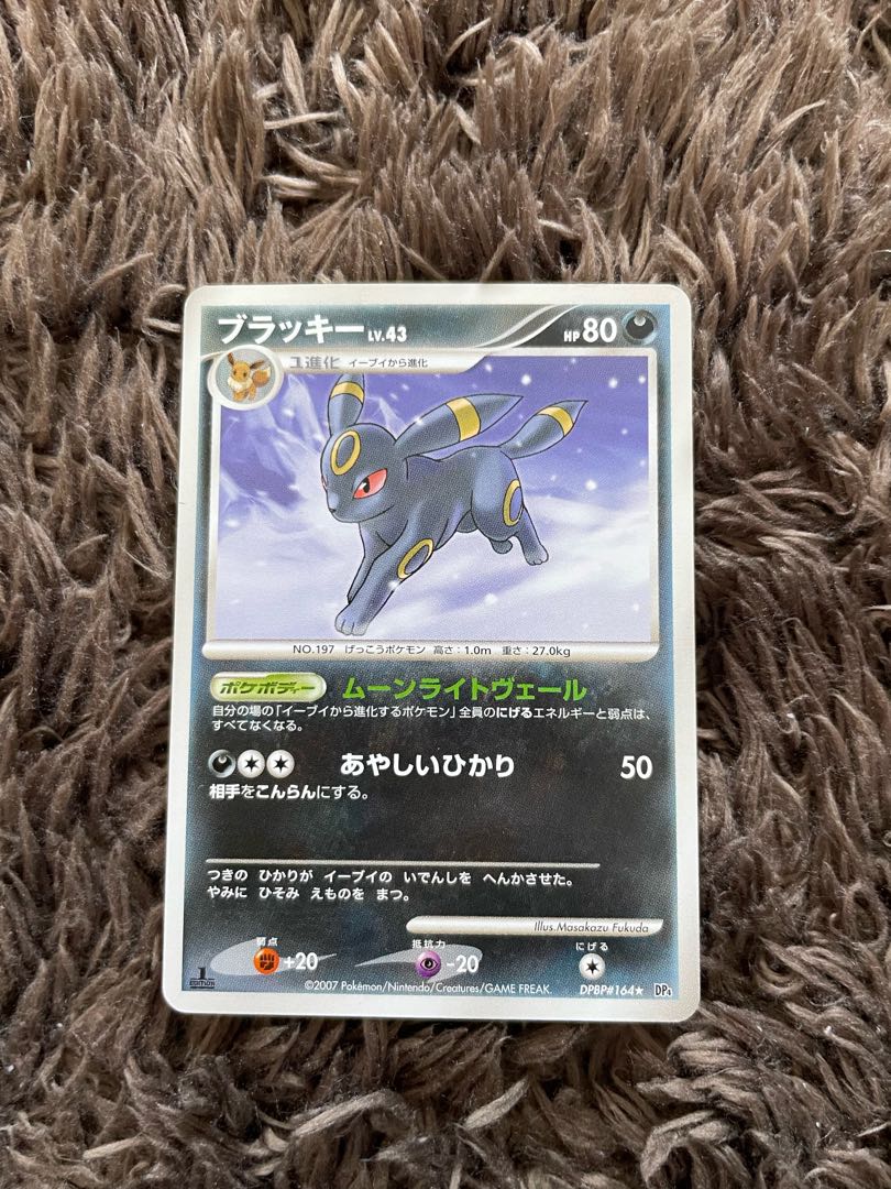 ブラッキーLV43 1枚