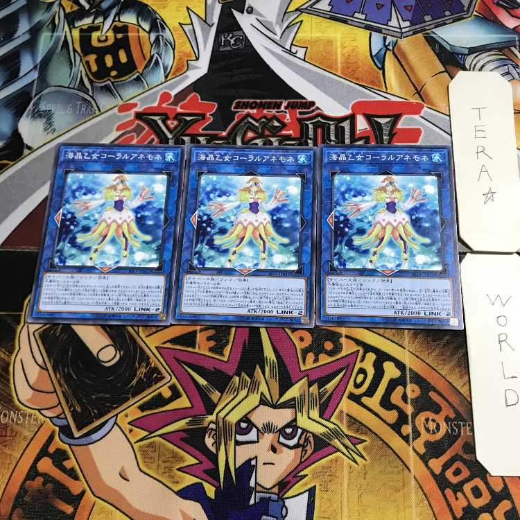 Marincess Coral Anemone RIRA 1 Normal Set of 3 Tera