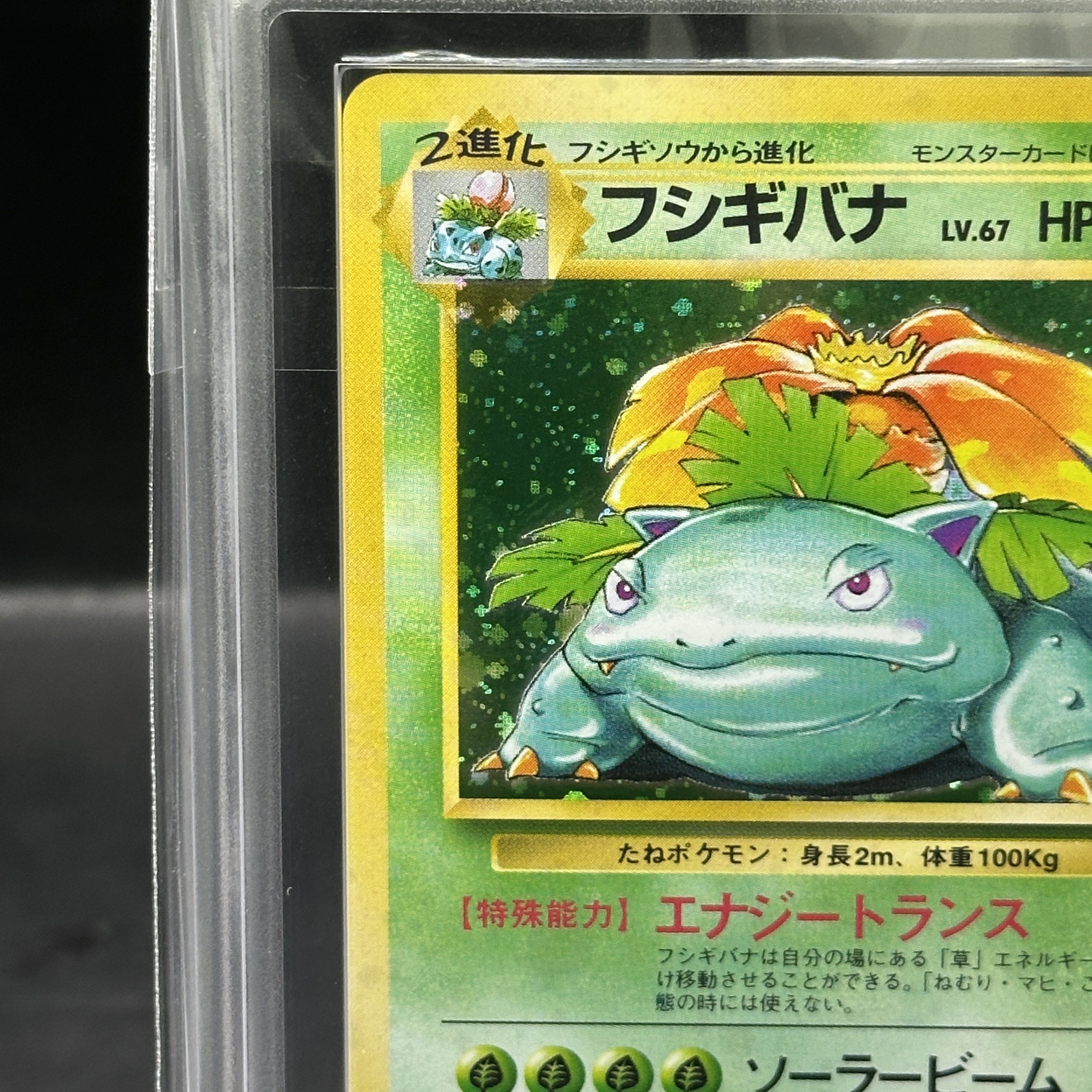 【ARS9】フシギバナ キラ マークあり 旧裏 ★ 1枚