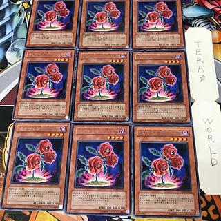 返り咲く薔薇の大輪 3 レア 9枚セット てら