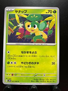 Rakurakudo] Pocketka Pansage