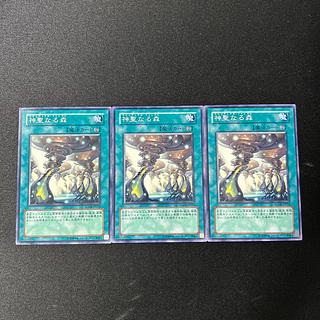 3258 Spiritual Forest#2244