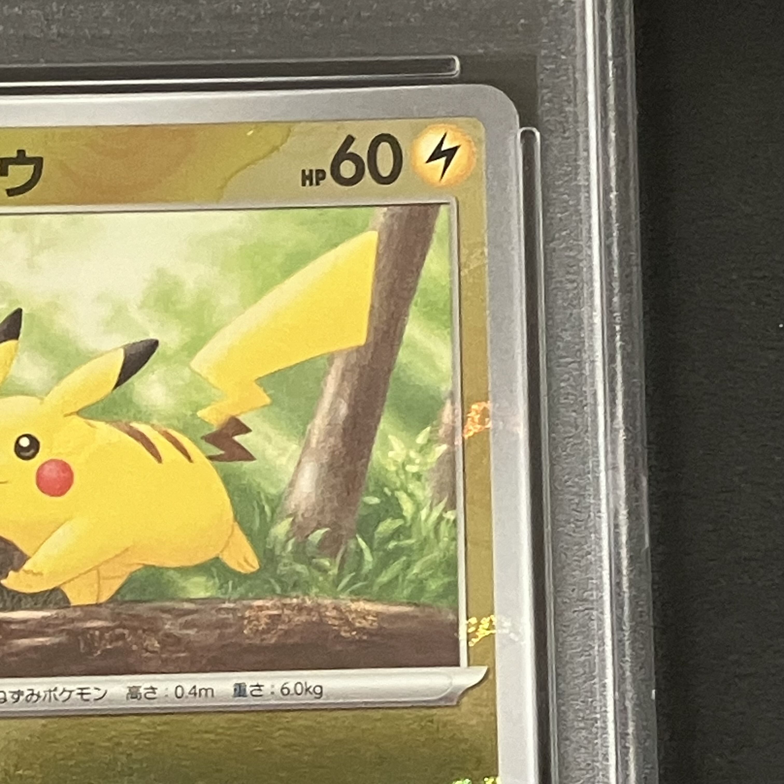 PSA10] Pikachu (Master Ball Pattern/Mirror) C 025/165