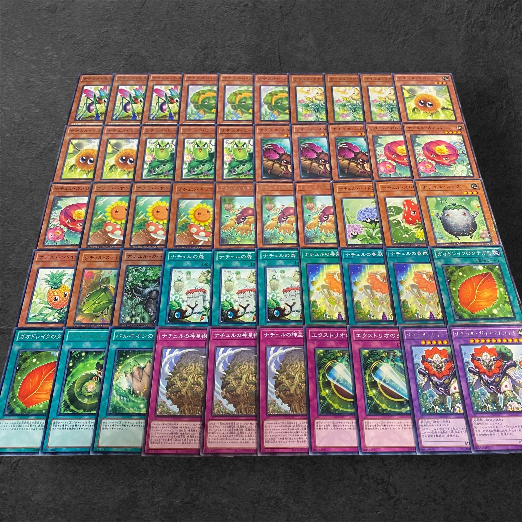 8009【遊戯王】ナチュル〈デッキパーツ〉50枚セット