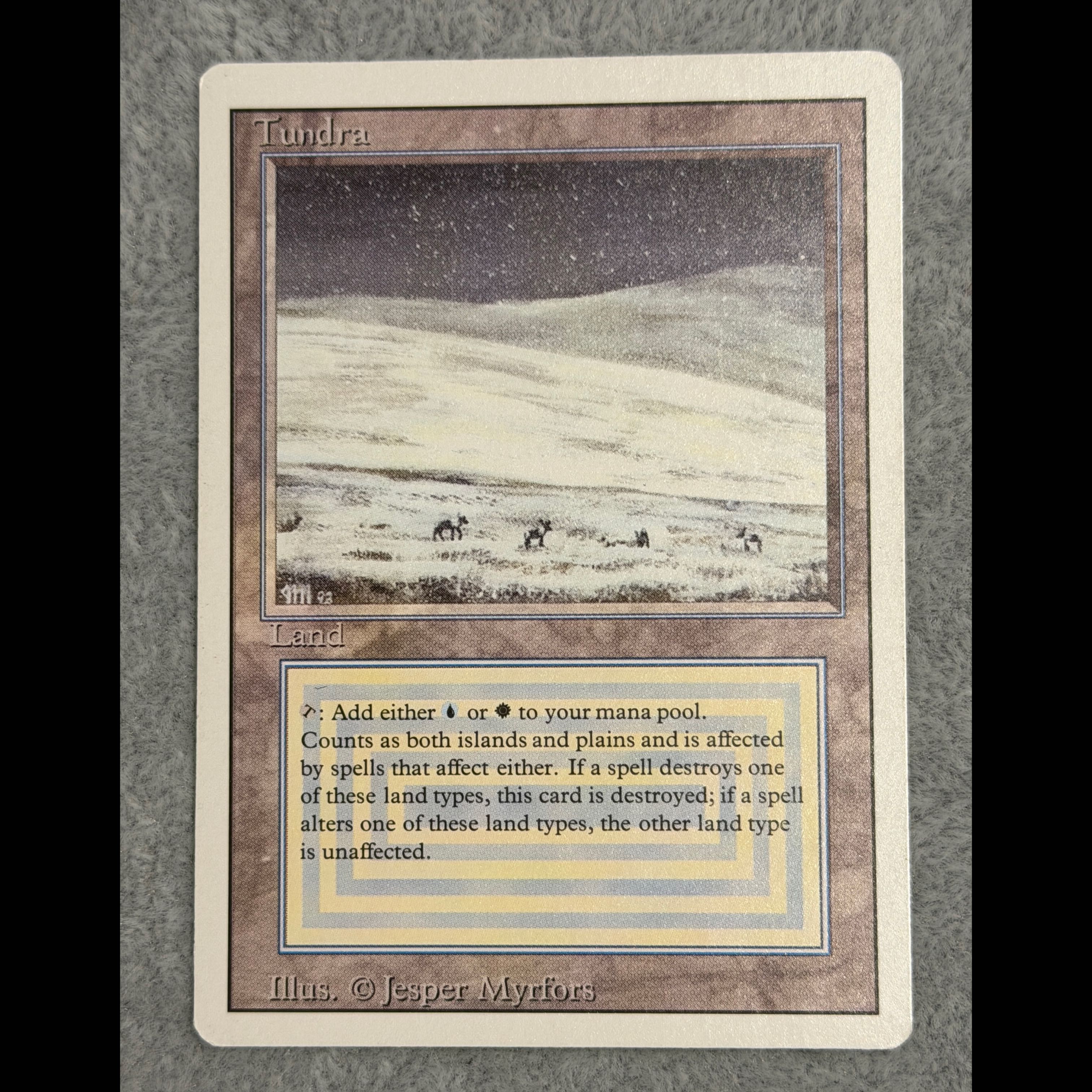 ＜EN＞ 《Tundra》 [3ED] 1枚