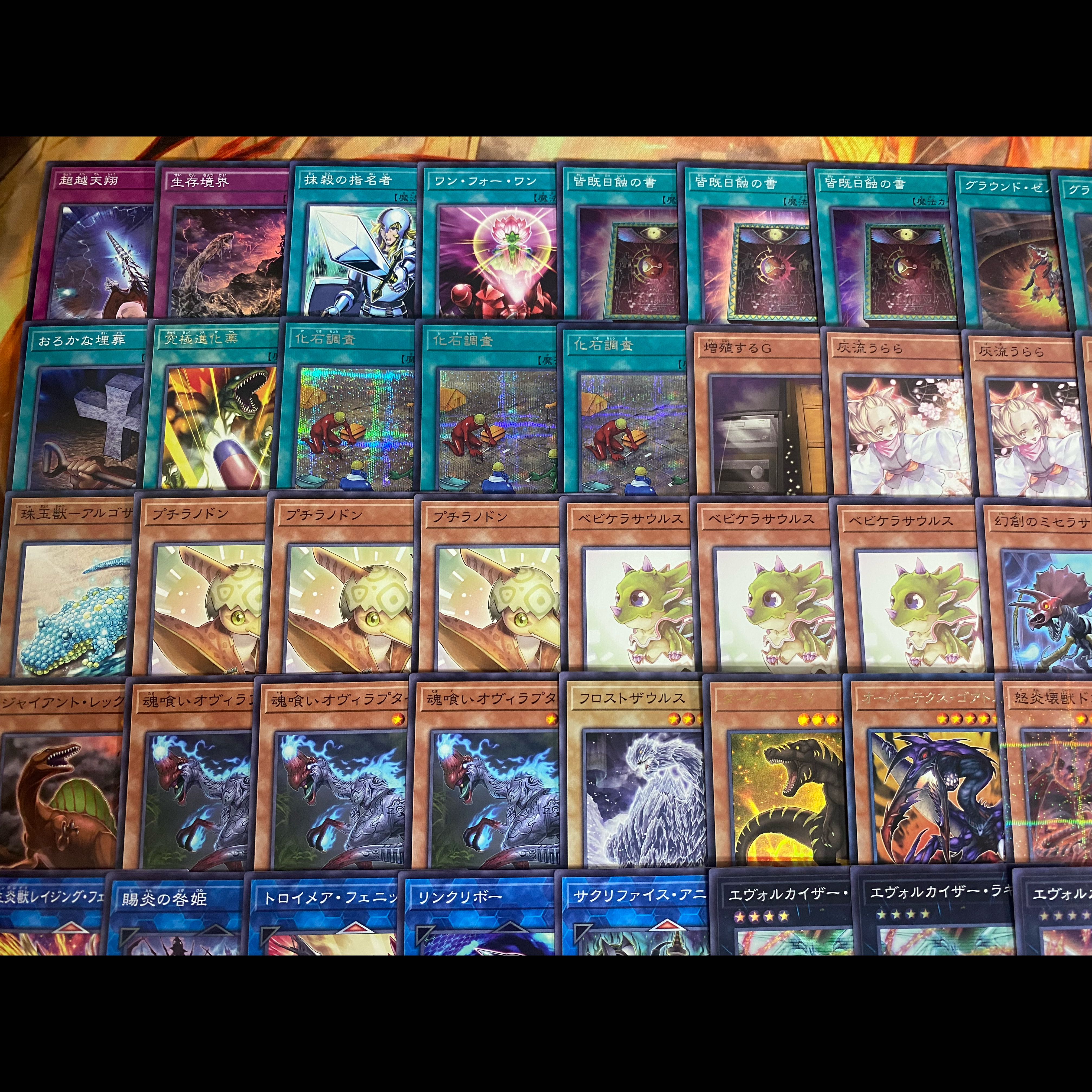 【24時間以内発送】遊戯王　恐竜　本格構築デッキ　大会構築 1枚