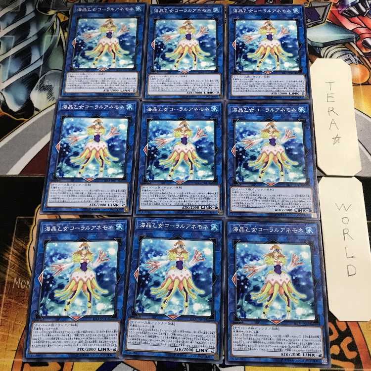 Marincess Coral Anemone RIRA 1 Normal Set of 9 Tera