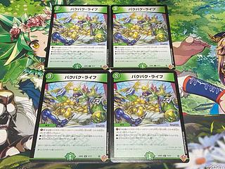 D-44 Paku Paku Life C 77/77 4枚