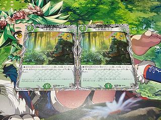 時空の庭園(黒トレジャー)