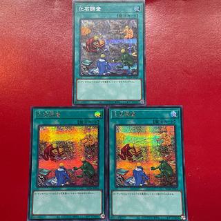 Aeg 化石調査 シークレットレア JP054