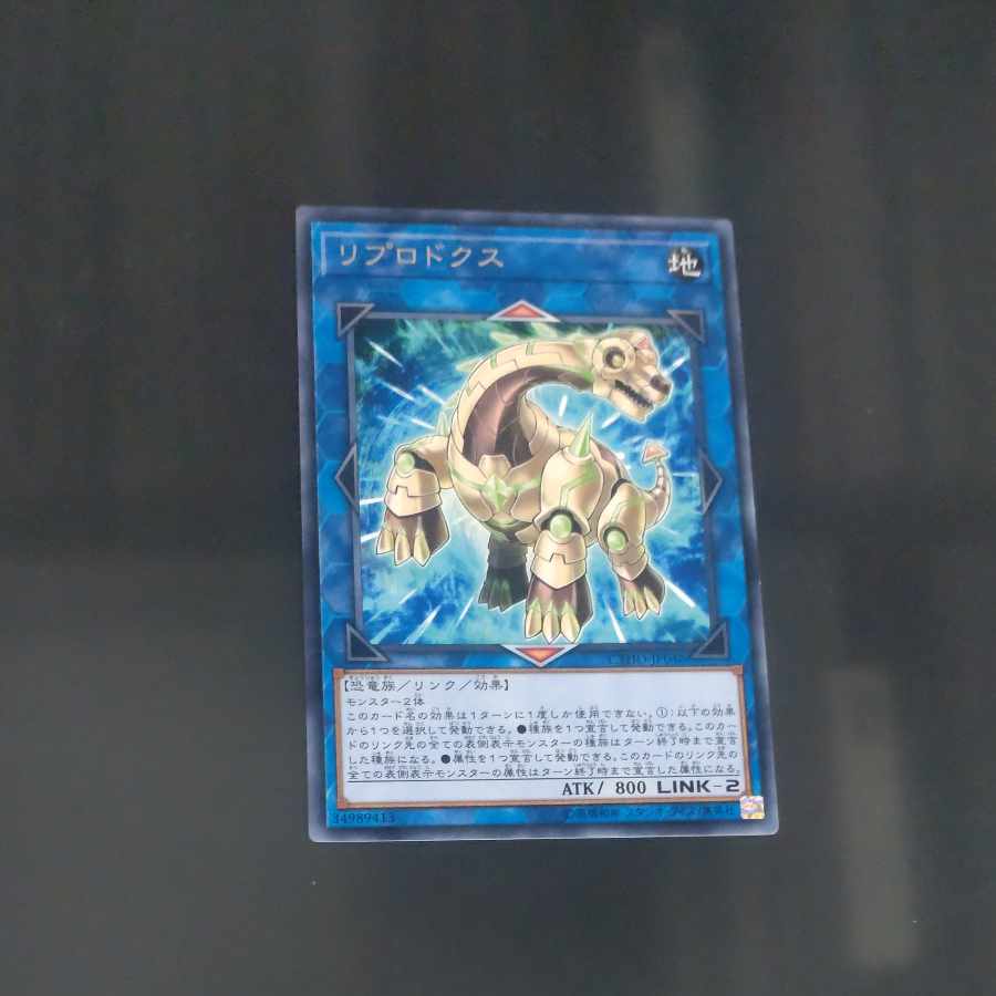 【木林堂】 【木林堂】 リプロドクス レア JP048 1枚