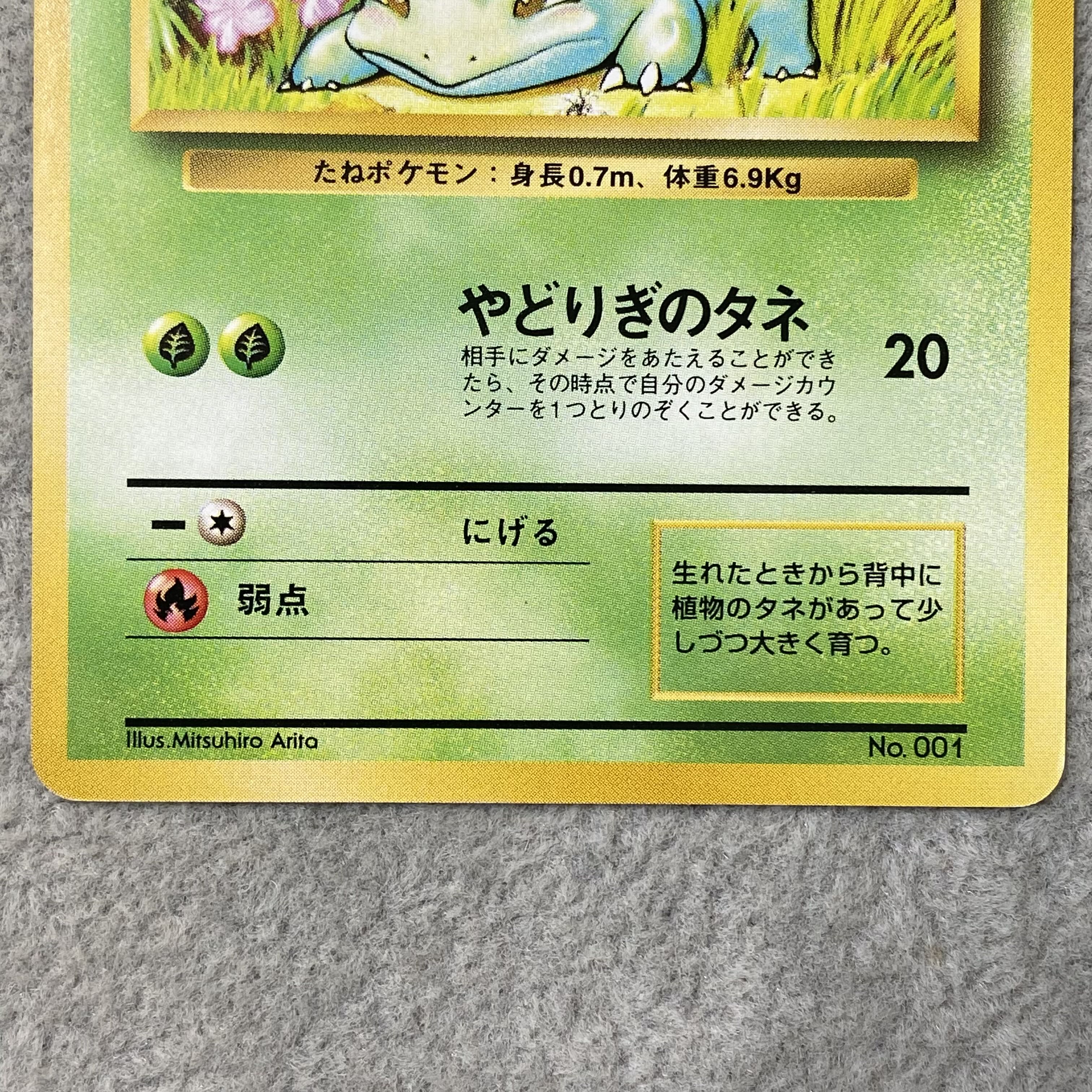 Bulbasaur First Edition, No Markings, Old Back Cover  1枚