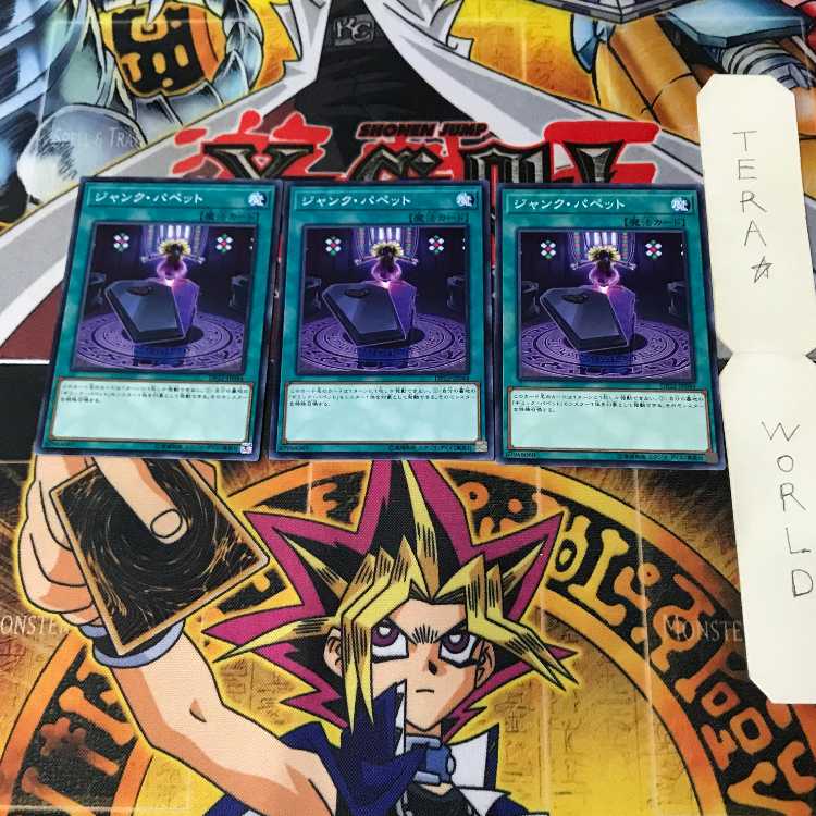 Junk Puppet DP22 1 Normal, set of 3 Tera.