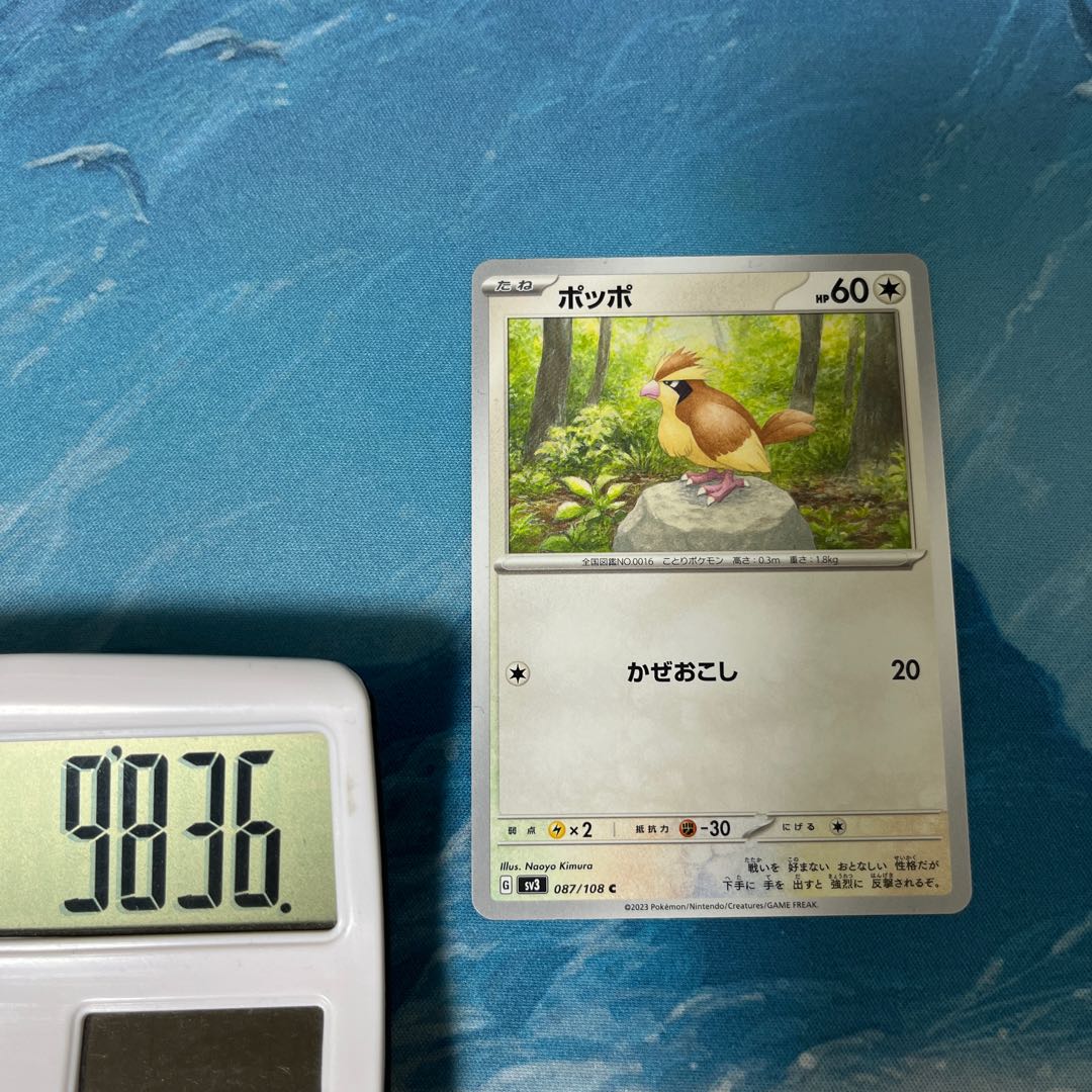 Pocketka 3 Pidgey