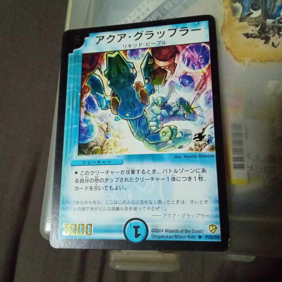セット割引 アクア・グラップラー(箔押し) R P22/Y2の通販 あー