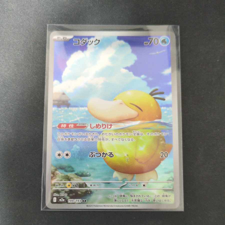 コダック AR 199/193 1枚