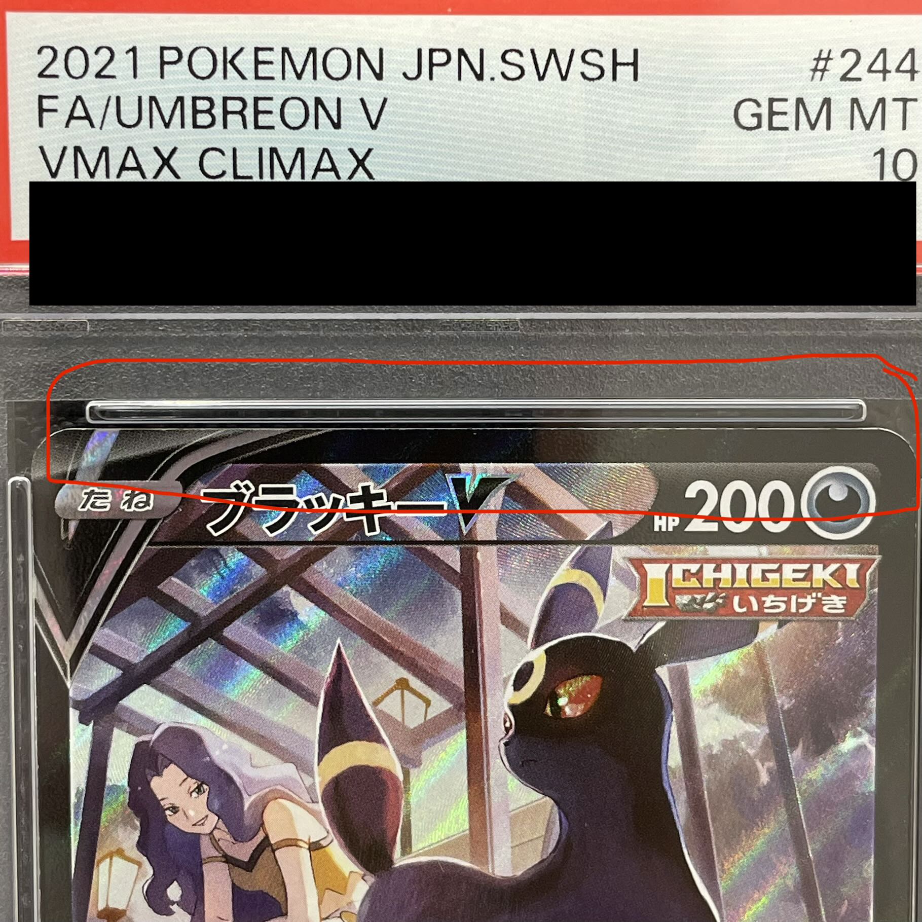 [PSA10] UmbreonV CSR 244/184 1枚