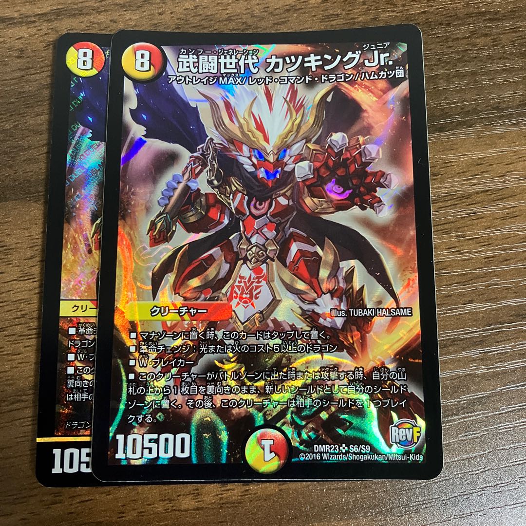 Takeshi Fighting generation Katsu King Jr.