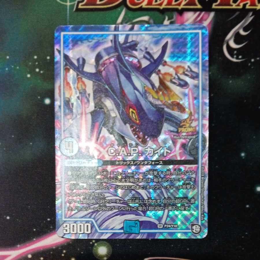 C.A.P. カイト SR P24/Y18 1枚