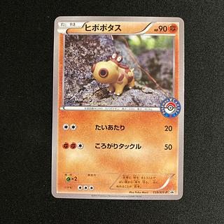 a398 Hippopotas Promo Pokemon Trekkie