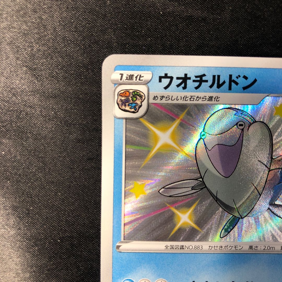 ウオチルドン S 236/190 1枚