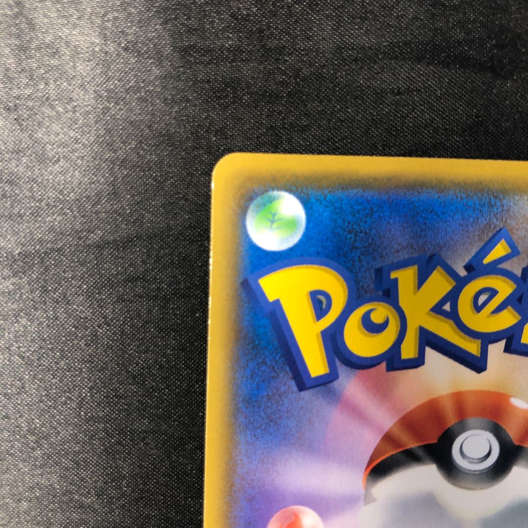 タルップル S 213/190 1枚