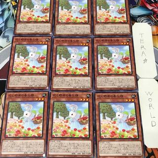 花と野原の春化精 POTE 1 ノーマル 効果 9枚セット てら 9枚