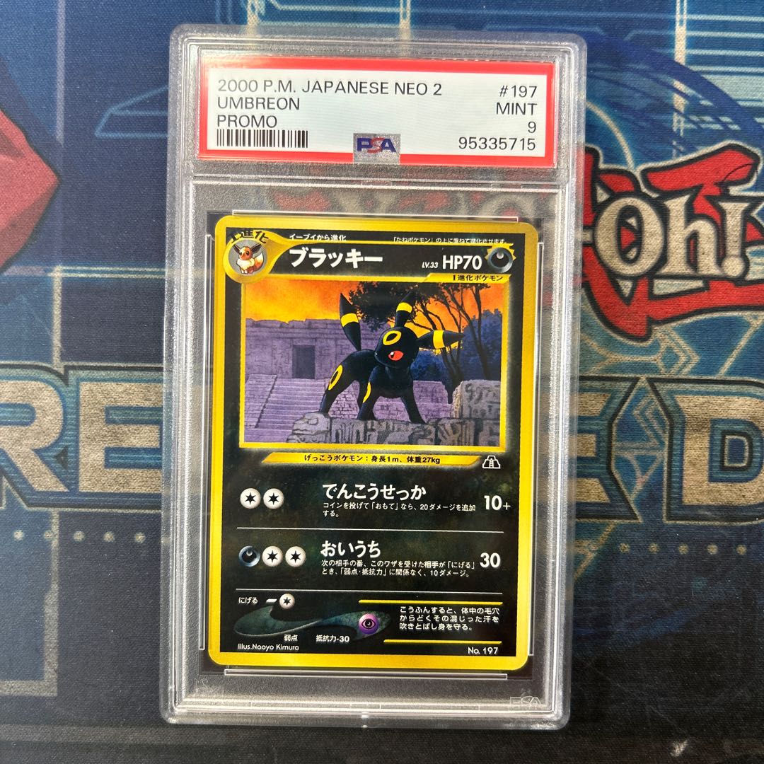 【PSA9】ブラッキー プレミアムファイル 旧裏  1枚