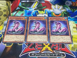 Y-3953 Graydle Cobra Normal JP034 3枚