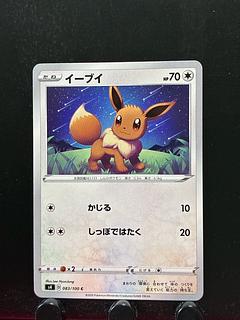Rakurakudo] Pocketka Eevee