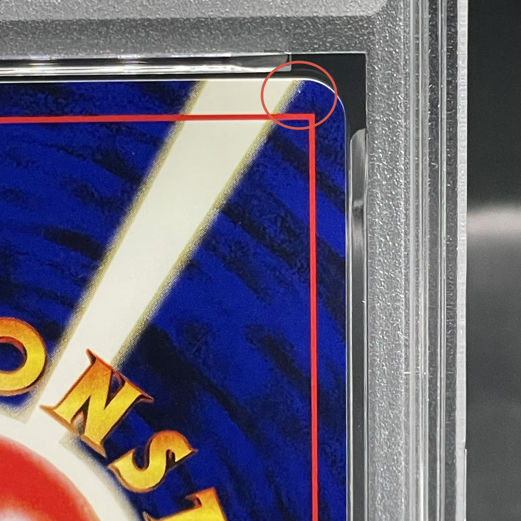 PSA10] Pichu Premium File Kira Old Back 1枚