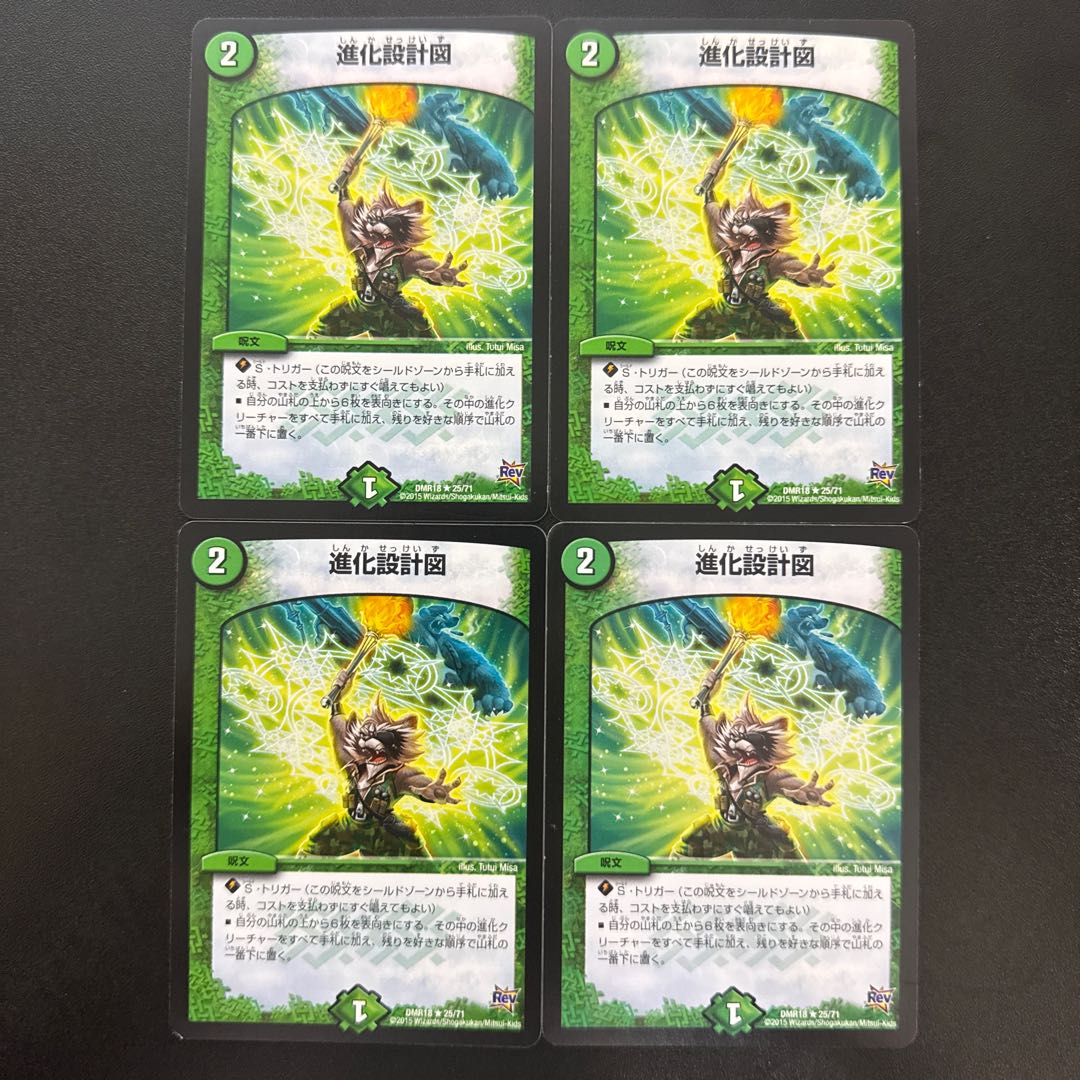 Evolutionary blueprint R 25/71