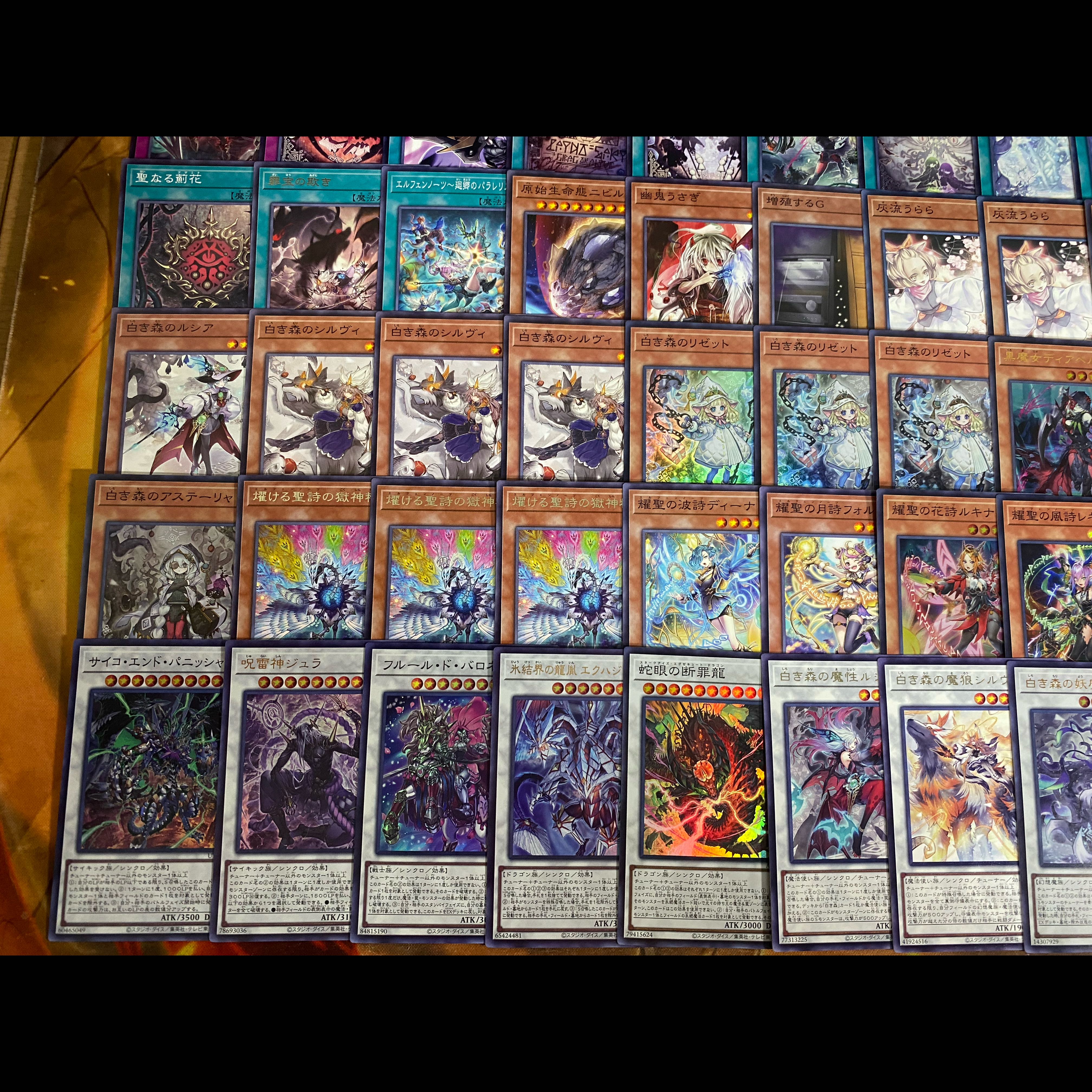 白き森 エルフェンノーツ デッキ 遊戯王 本格構築 大会構築済みデッキ