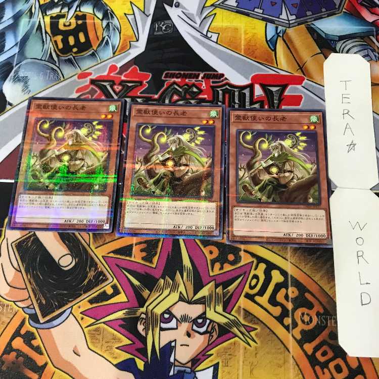 Ritual Beast Tamer Elder TW01 1 Normal Parallel Effect Set of 3 Tera